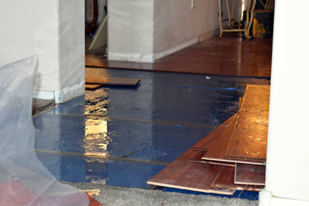 Professional Basement Flood Cleanup technician working in Dayton, MN